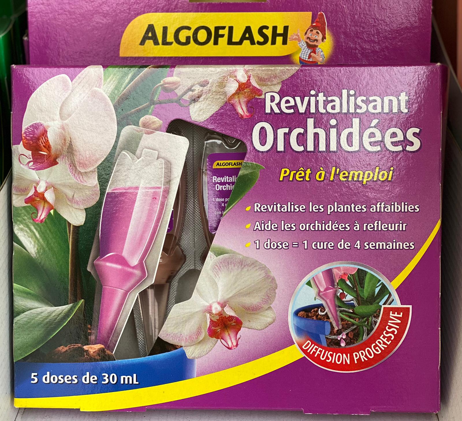 PEPINIERE DES ASPRES GRASSE 2024 ALPES MARITIMES JARDINERIE