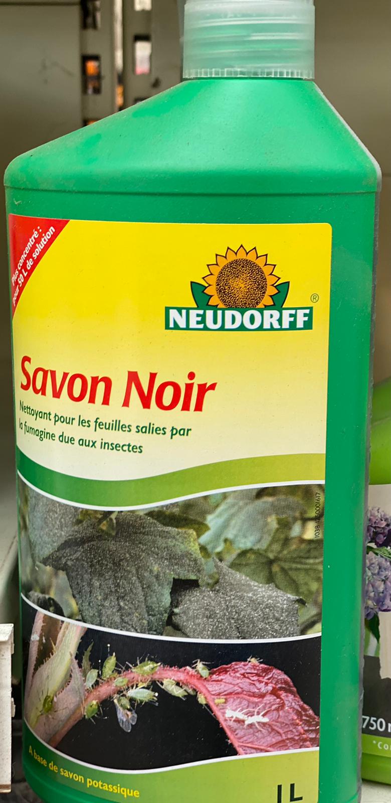 PEPINIERE DES ASPRES GRASSE 2024 ALPES MARITIMES JARDINERIE