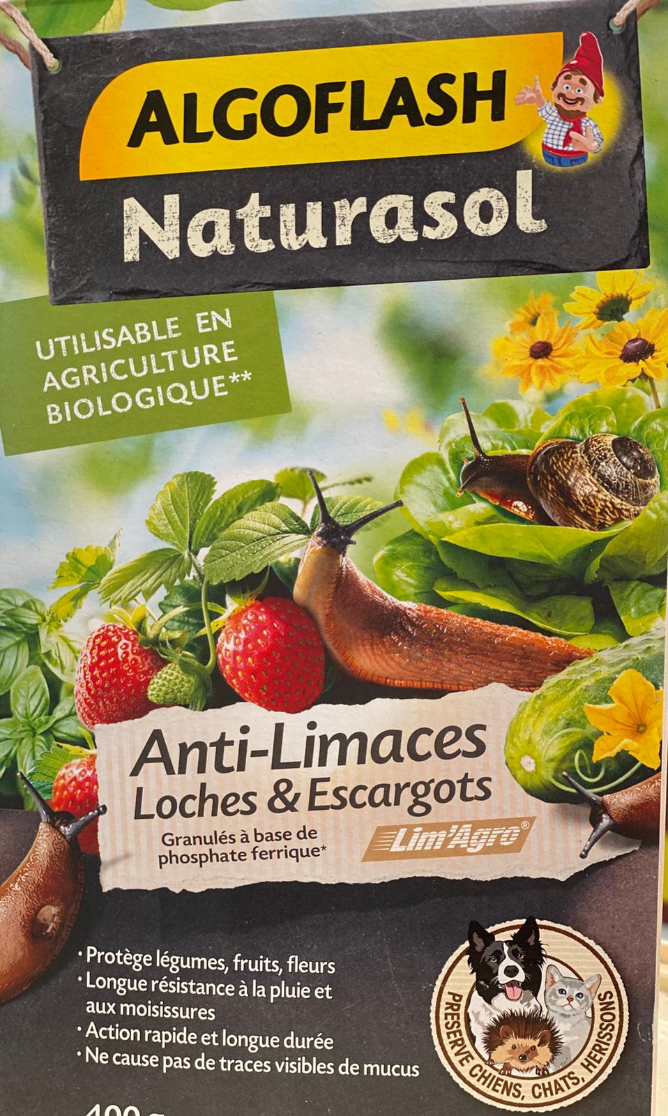 PEPINIERE DES ASPRES GRASSE 2024 ALPES MARITIMES JARDINERIE