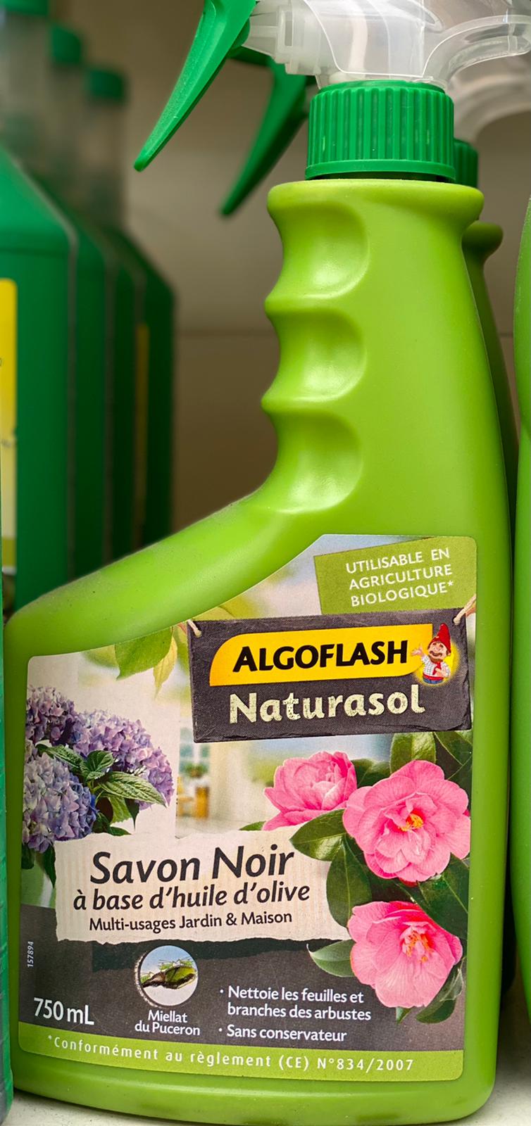 PEPINIERE DES ASPRES GRASSE 2024 ALPES MARITIMES JARDINERIE