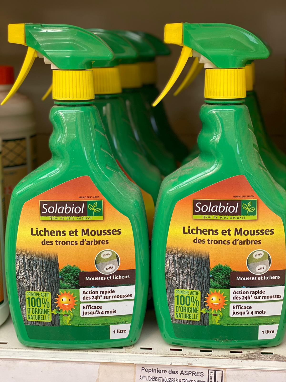 PEPINIERE DES ASPRES GRASSE 2024 ALPES MARITIMES JARDINERIE