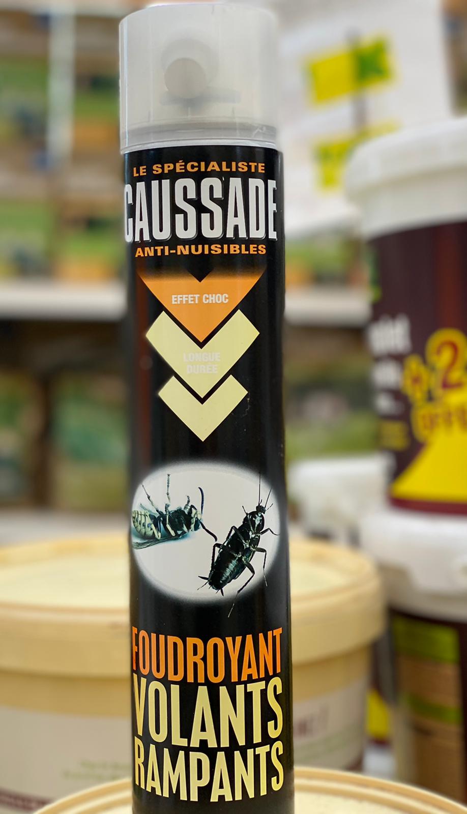 PEPINIERE DES ASPRES GRASSE 2024 ALPES MARITIMES JARDINERIE