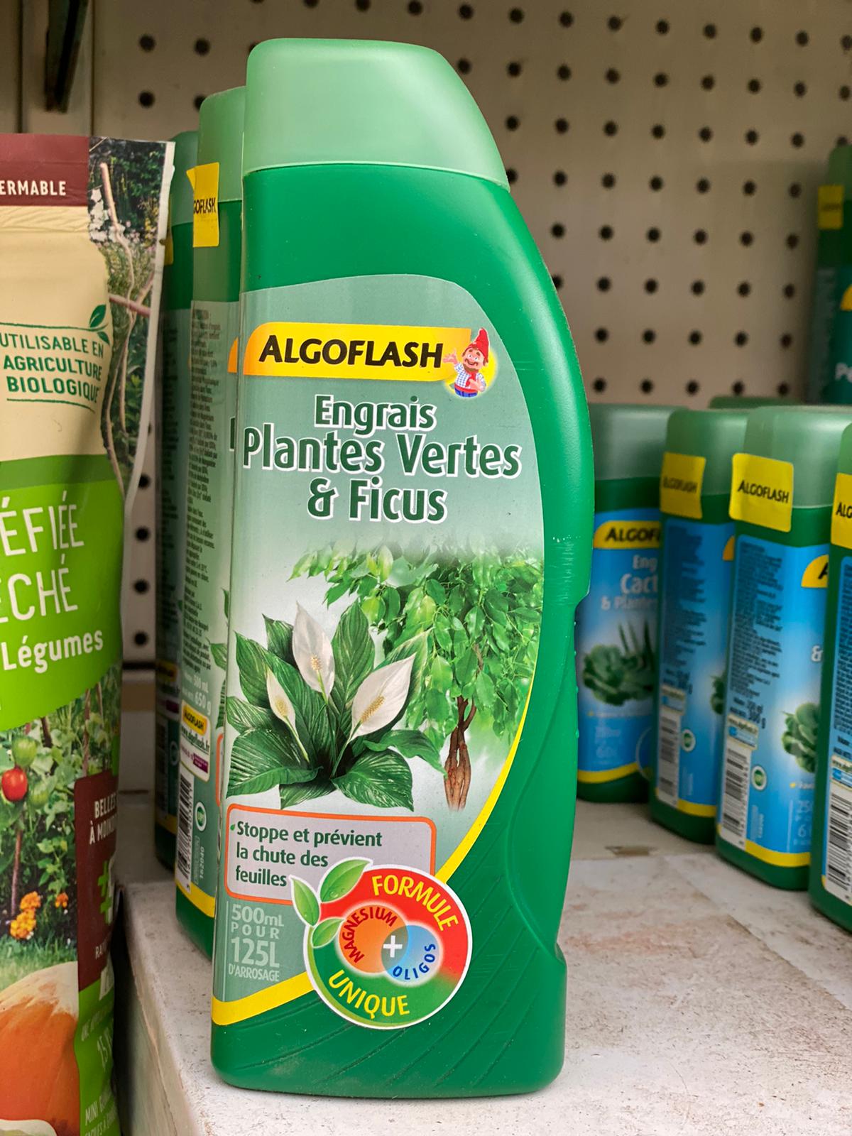 PEPINIERE DES ASPRES GRASSE 2024 ALPES MARITIMES JARDINERIE