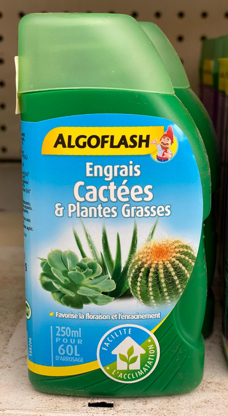 PEPINIERE DES ASPRES GRASSE 2024 ALPES MARITIMES JARDINERIE