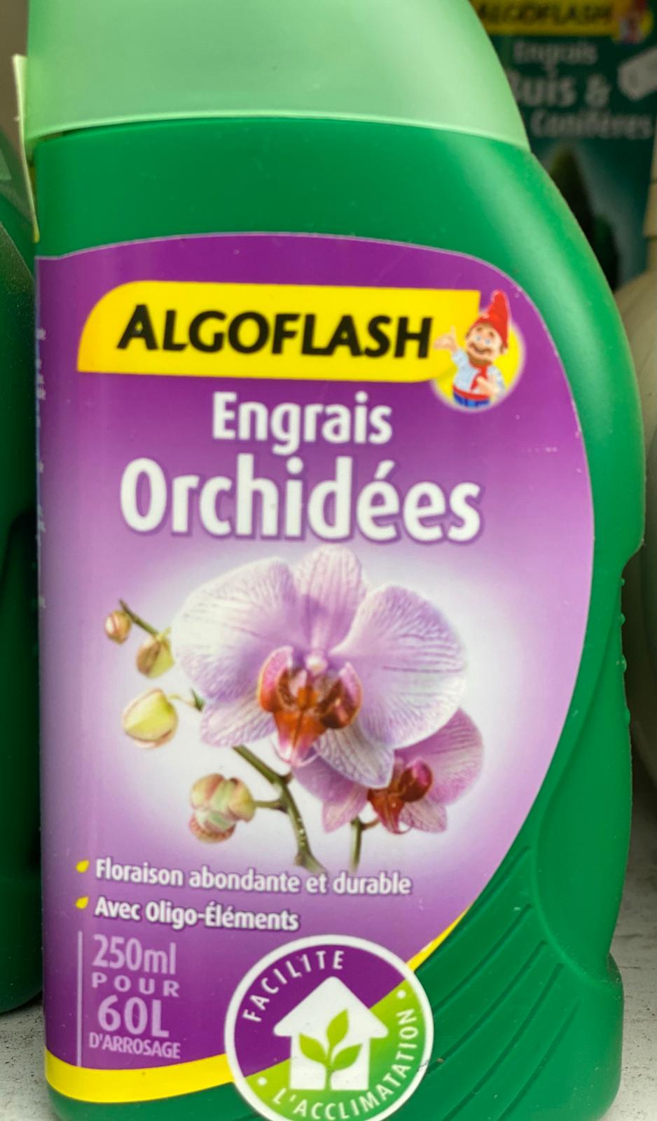 PEPINIERE DES ASPRES GRASSE 2024 ALPES MARITIMES JARDINERIE