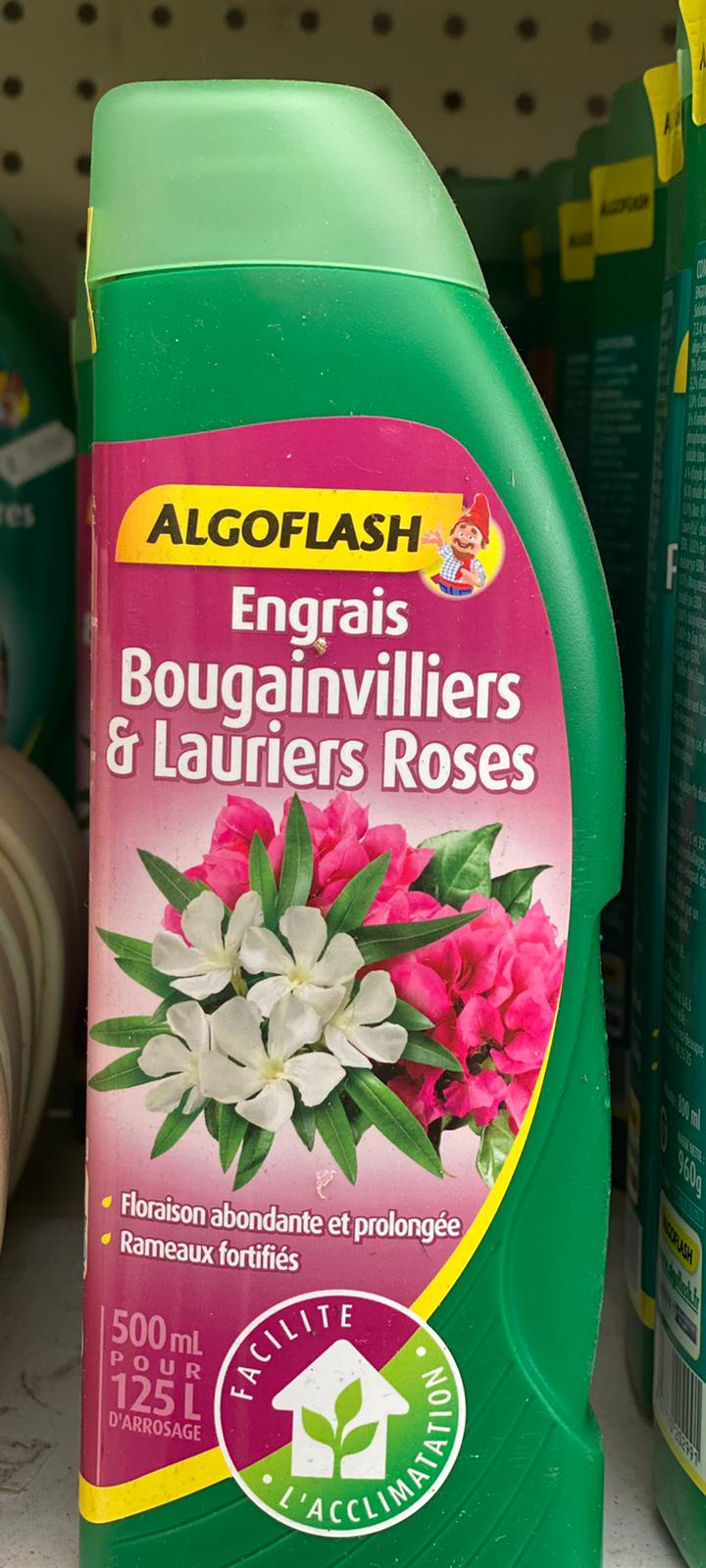 PEPINIERE DES ASPRES GRASSE 2024 ALPES MARITIMES JARDINERIE