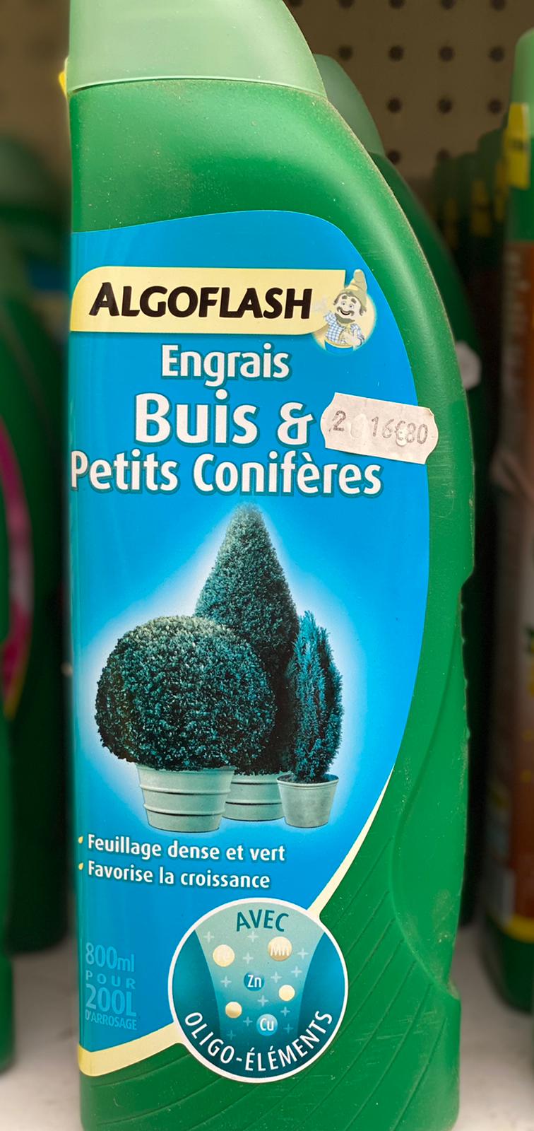 PEPINIERE DES ASPRES GRASSE 2024 ALPES MARITIMES JARDINERIE