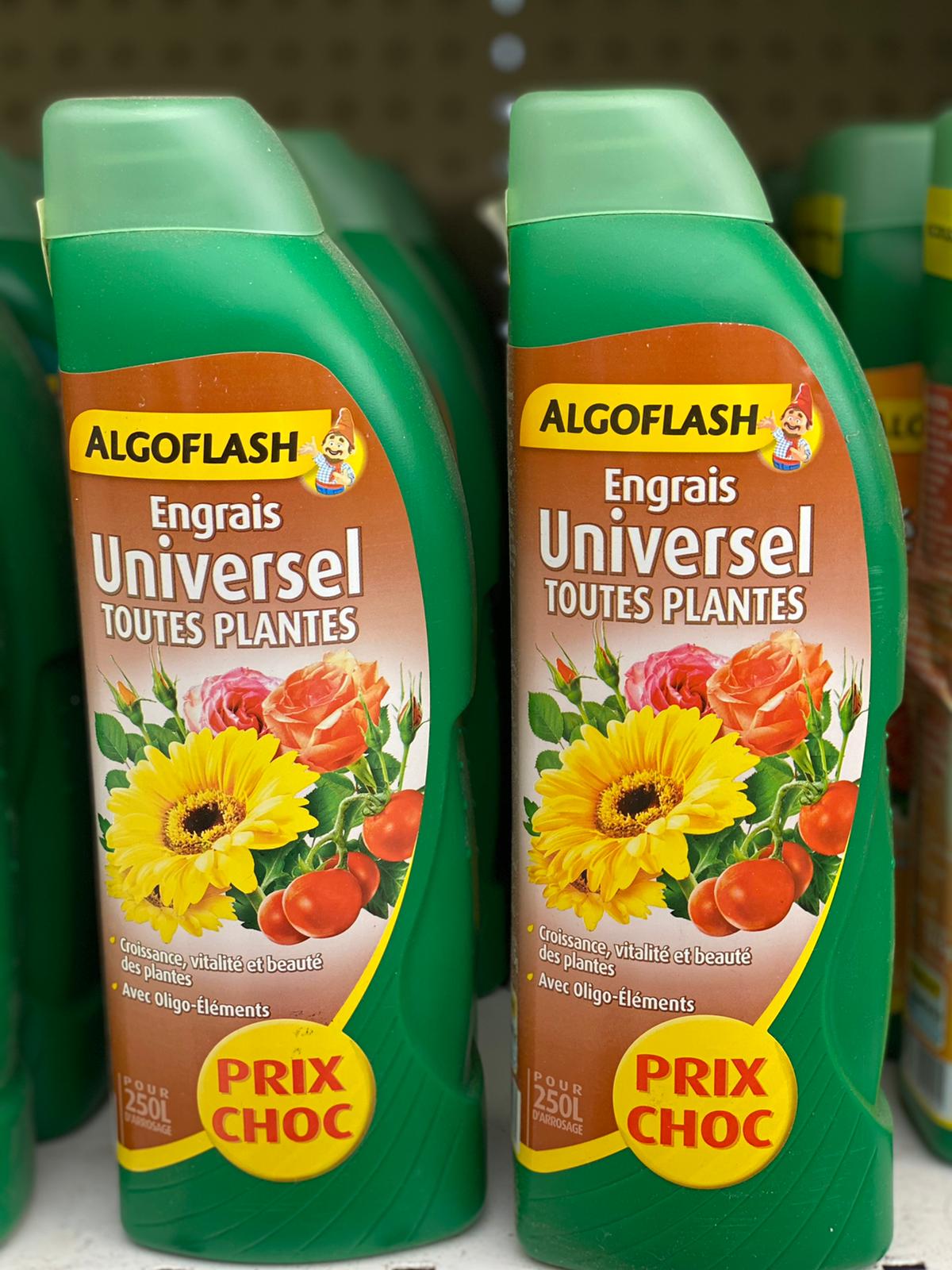 PEPINIERE DES ASPRES GRASSE 2024 ALPES MARITIMES JARDINERIE