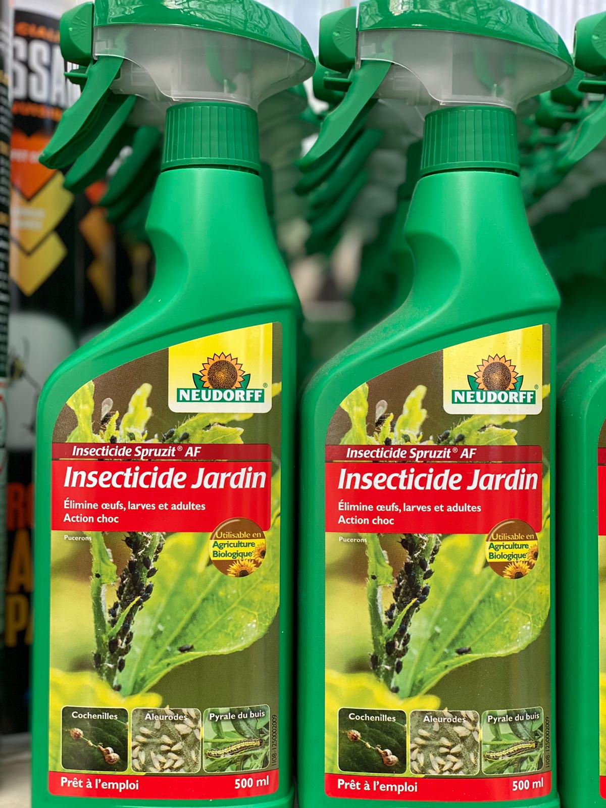 PEPINIERE DES ASPRES GRASSE 2024 ALPES MARITIMES JARDINERIE