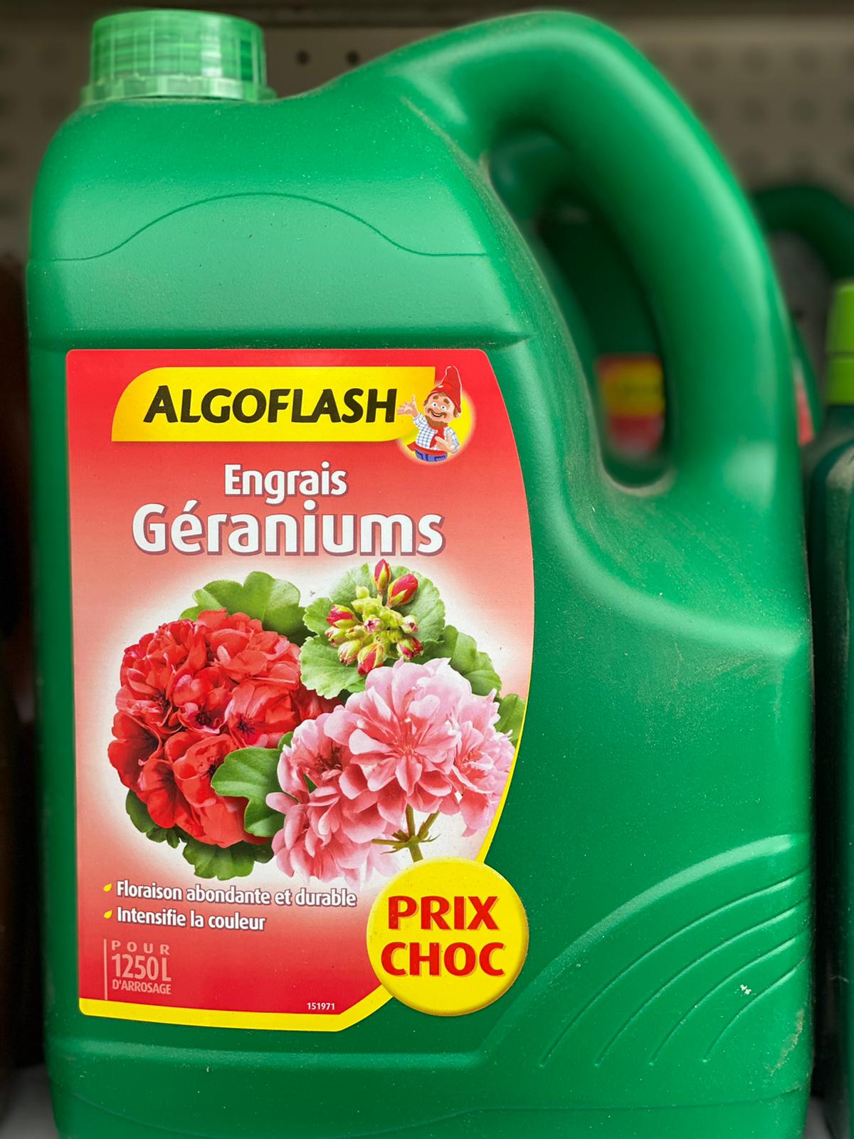 PEPINIERE DES ASPRES GRASSE 2024 ALPES MARITIMES JARDINERIE