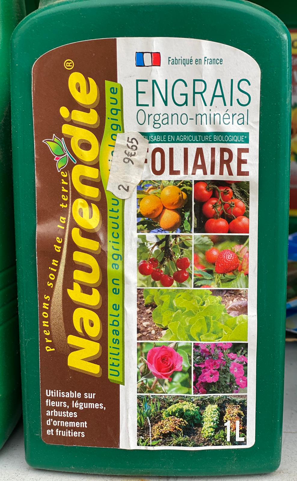 PEPINIERE DES ASPRES GRASSE 2024 ALPES MARITIMES JARDINERIE