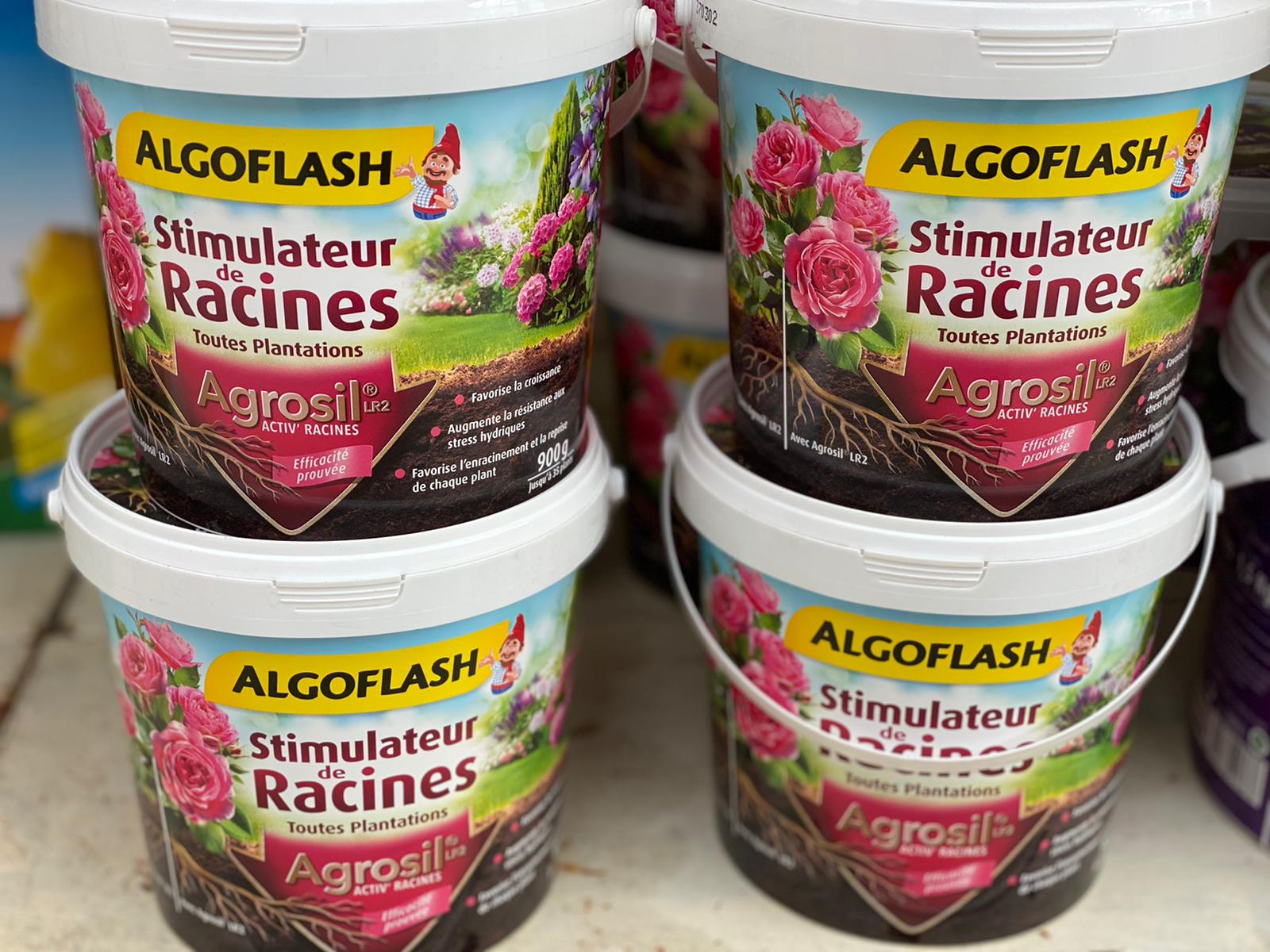 PEPINIERE DES ASPRES GRASSE 2024 ALPES MARITIMES JARDINERIE