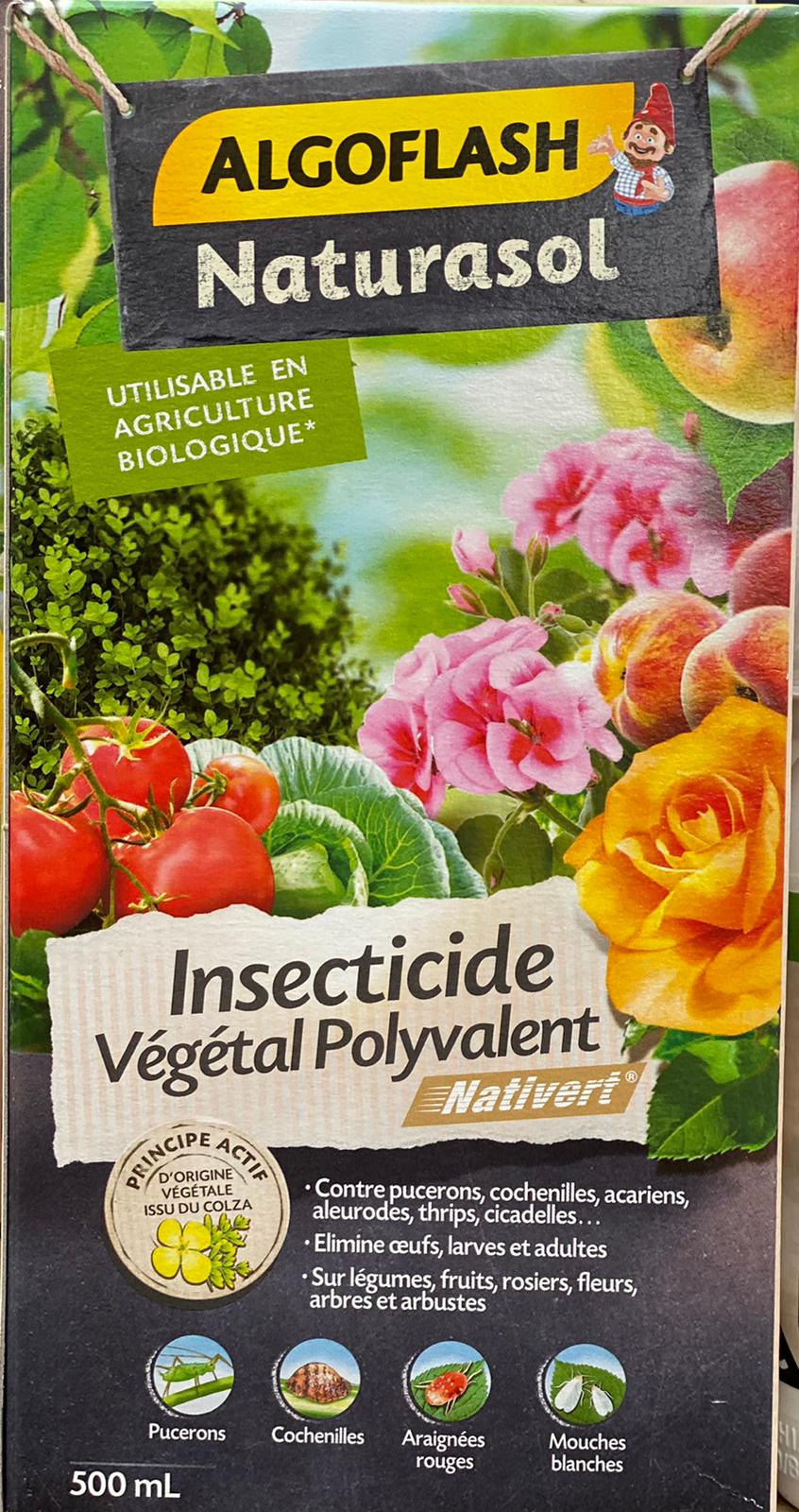 PEPINIERE DES ASPRES GRASSE 2024 ALPES MARITIMES JARDINERIE