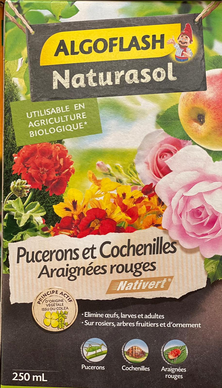 PEPINIERE DES ASPRES GRASSE 2024 ALPES MARITIMES JARDINERIE