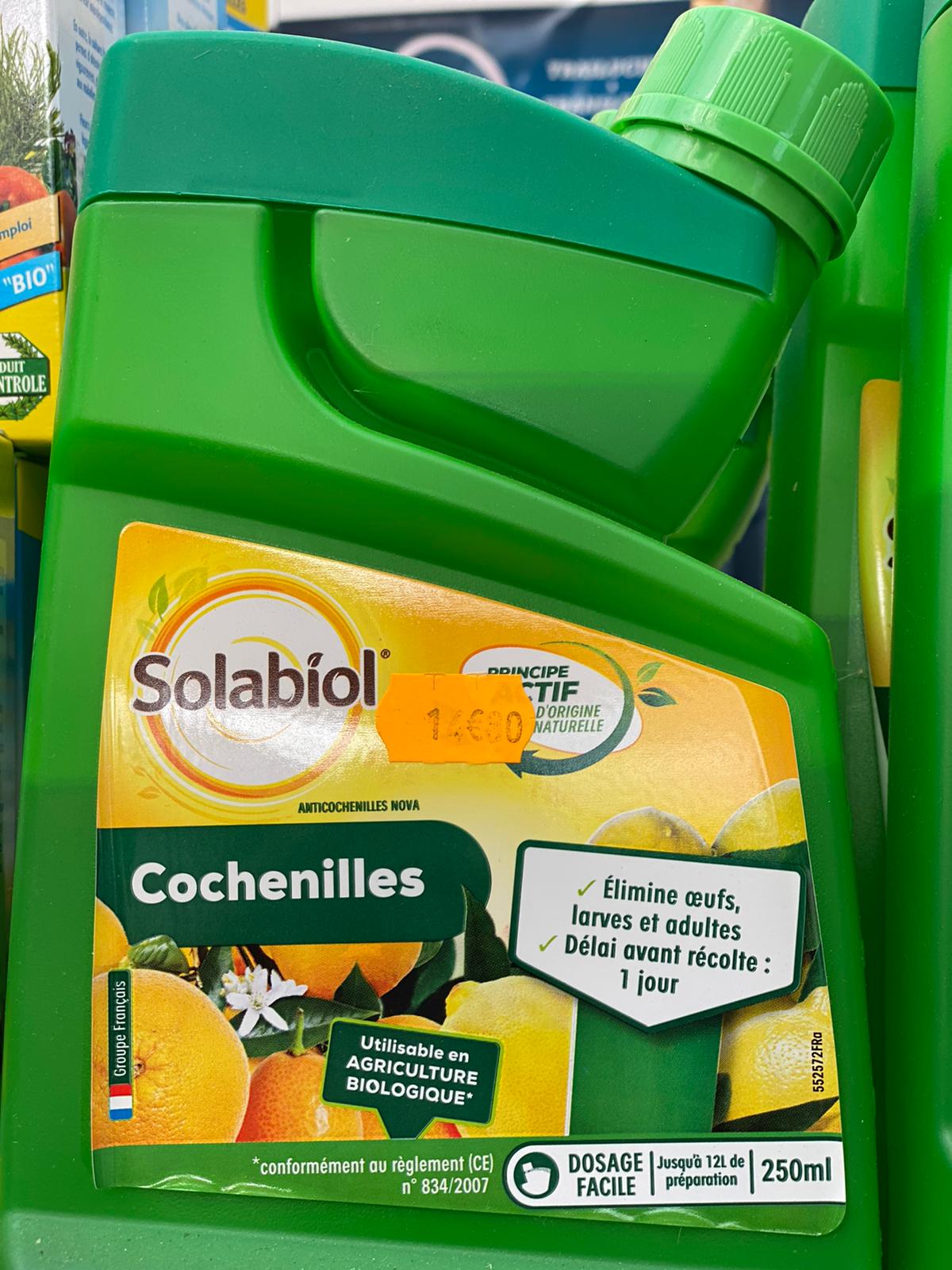 PEPINIERE DES ASPRES GRASSE 2024 ALPES MARITIMES JARDINERIE