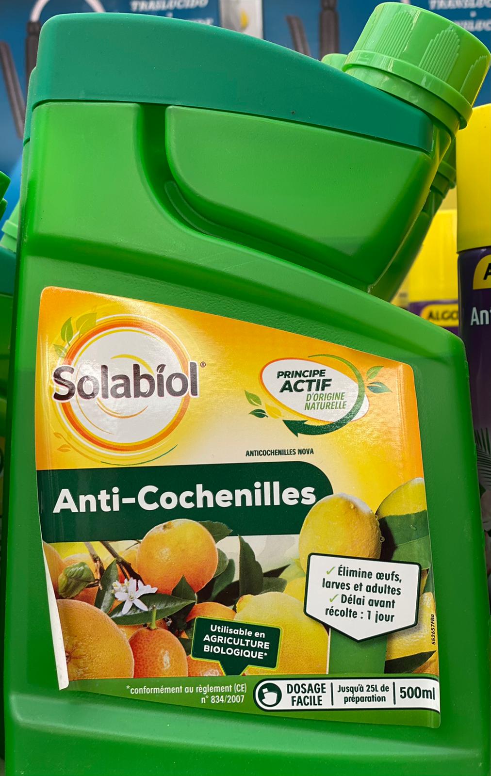 PEPINIERE DES ASPRES GRASSE 2024 ALPES MARITIMES JARDINERIE