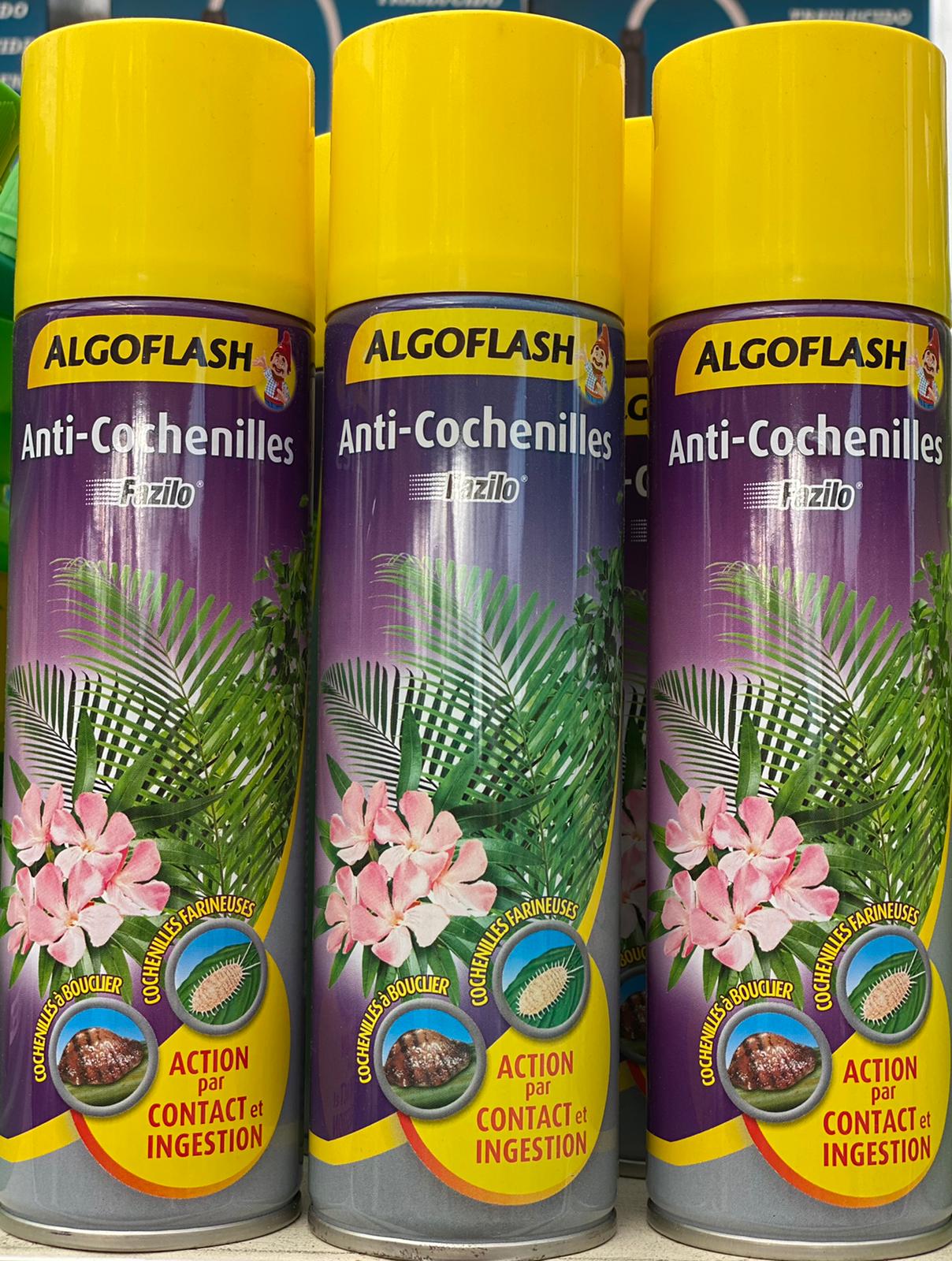 PEPINIERE DES ASPRES GRASSE 2024 ALPES MARITIMES JARDINERIE