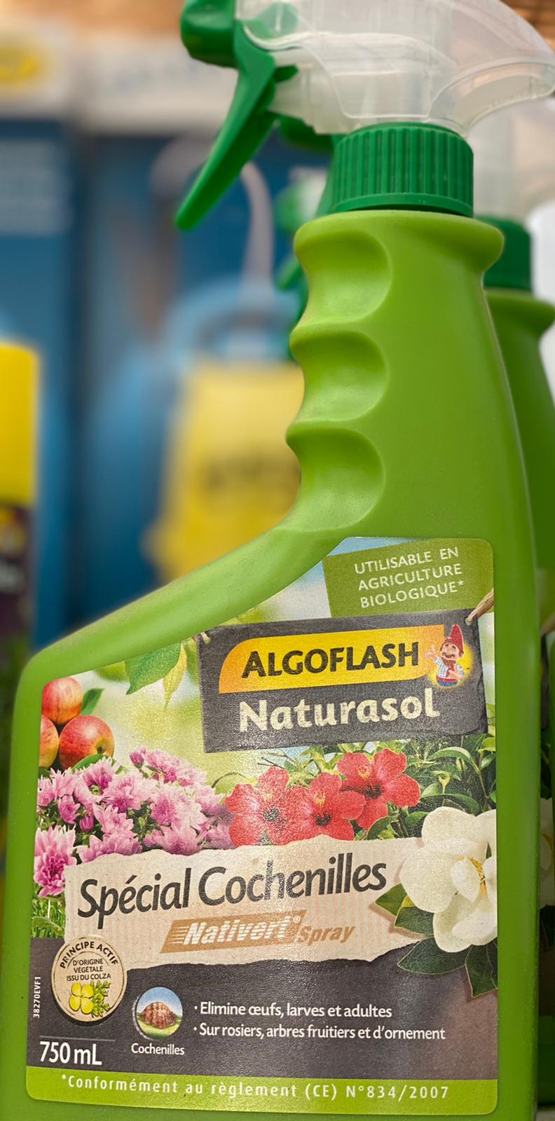 PEPINIERE DES ASPRES GRASSE 2024 ALPES MARITIMES JARDINERIE