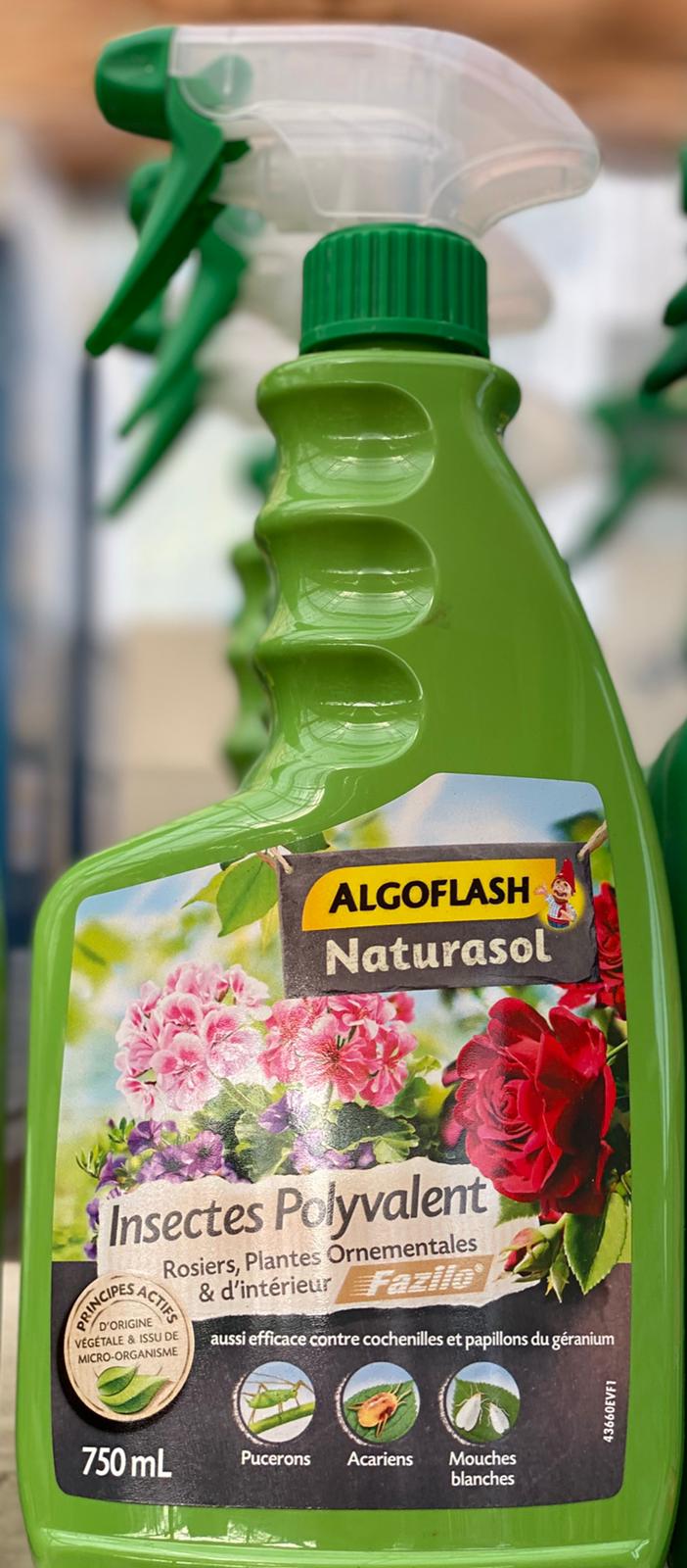 PEPINIERE DES ASPRES GRASSE 2024 ALPES MARITIMES JARDINERIE