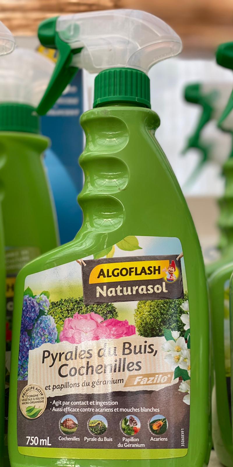 PEPINIERE DES ASPRES GRASSE 2024 ALPES MARITIMES JARDINERIE