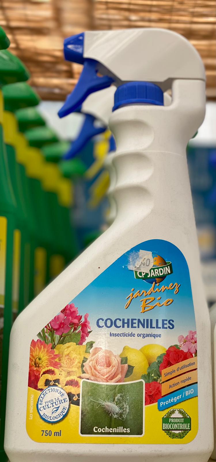 PEPINIERE DES ASPRES GRASSE 2024 ALPES MARITIMES JARDINERIE