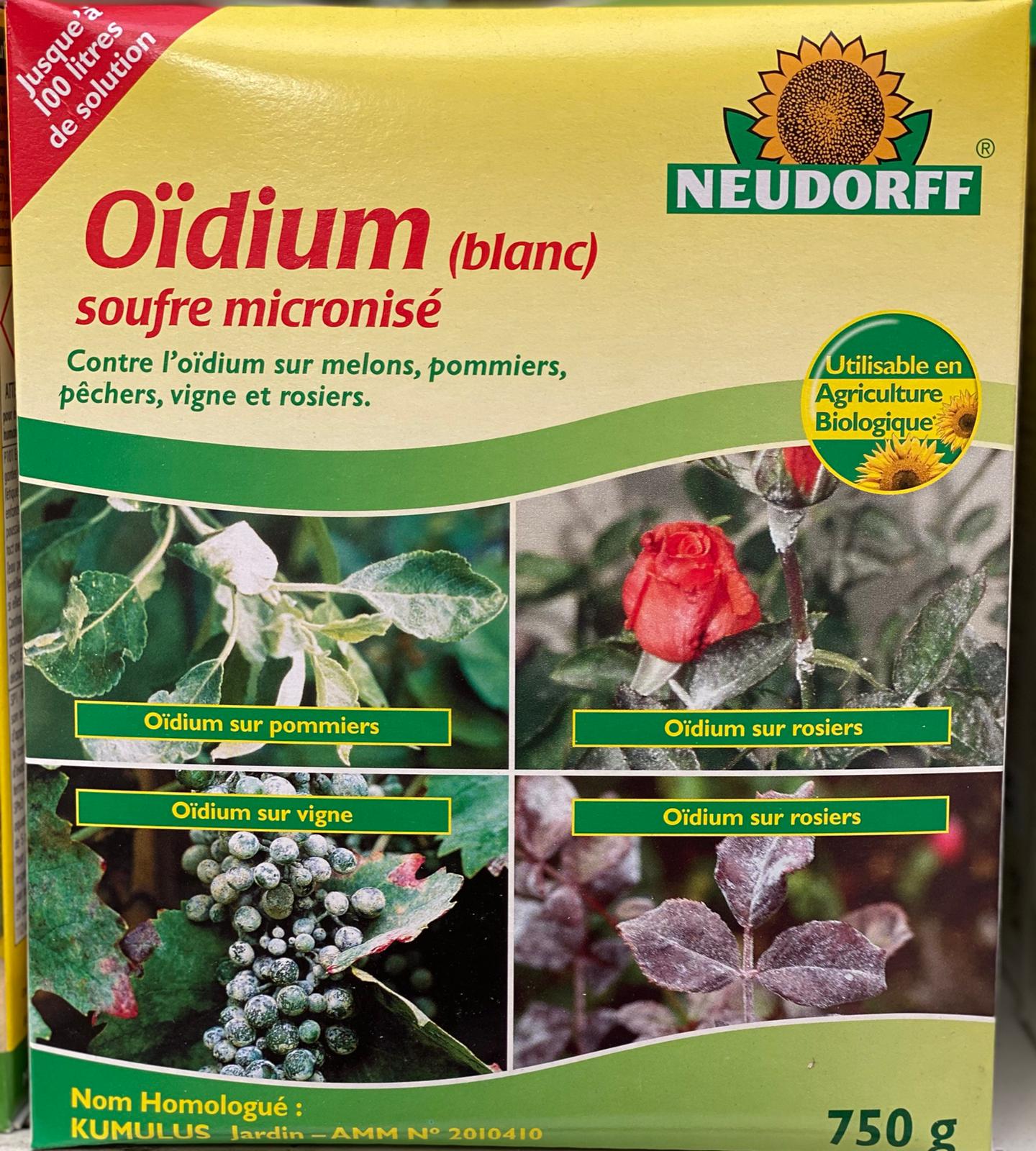 PEPINIERE DES ASPRES GRASSE 2024 ALPES MARITIMES JARDINERIE