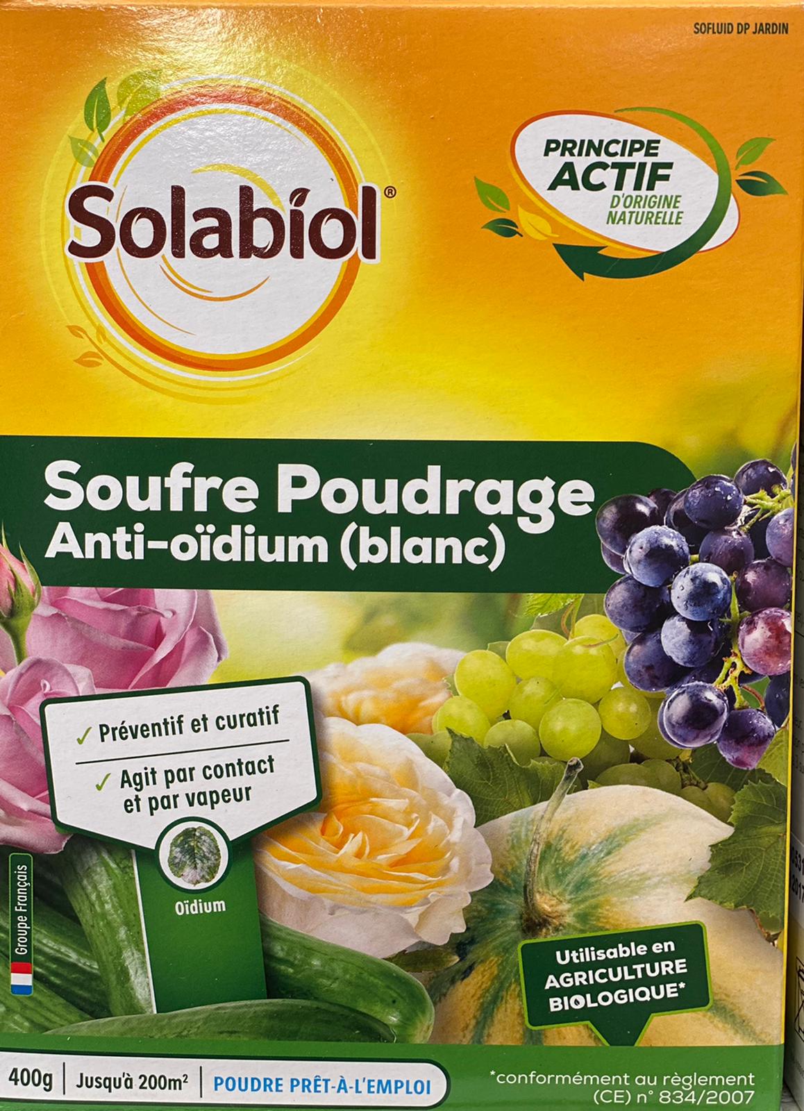 PEPINIERE DES ASPRES GRASSE 2024 ALPES MARITIMES JARDINERIE