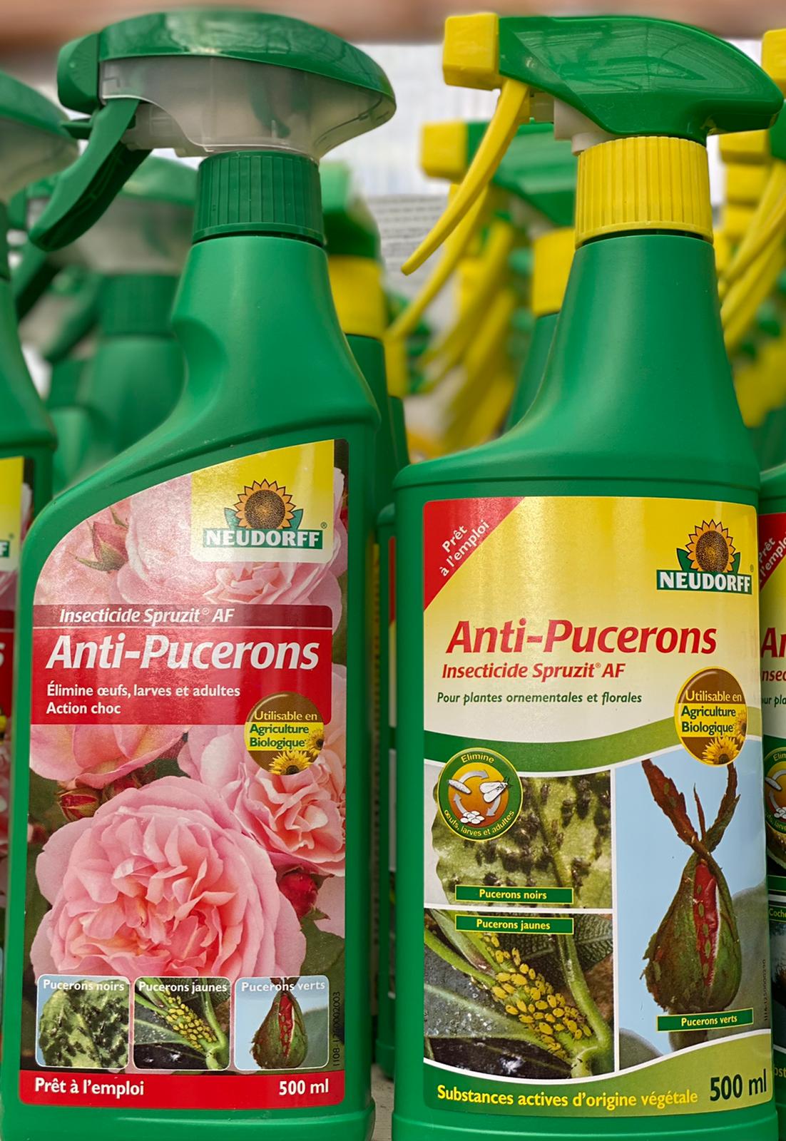 PEPINIERE DES ASPRES GRASSE 2024 ALPES MARITIMES JARDINERIE