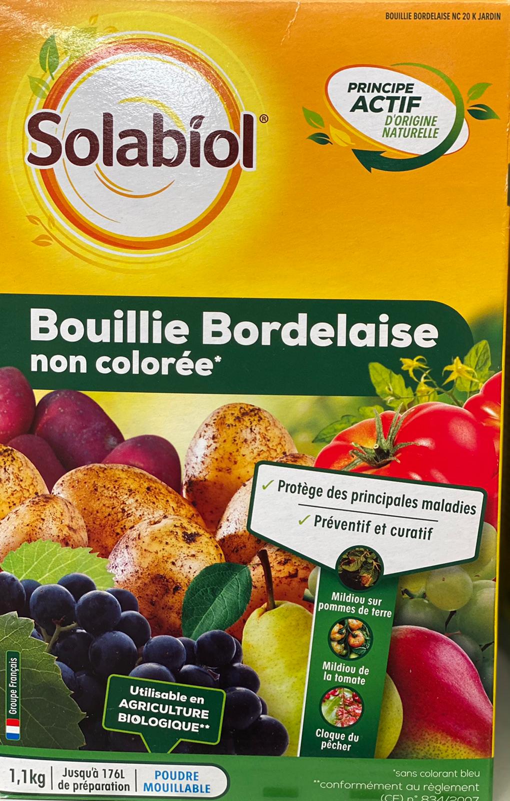 PEPINIERE DES ASPRES GRASSE 2024 ALPES MARITIMES JARDINERIE