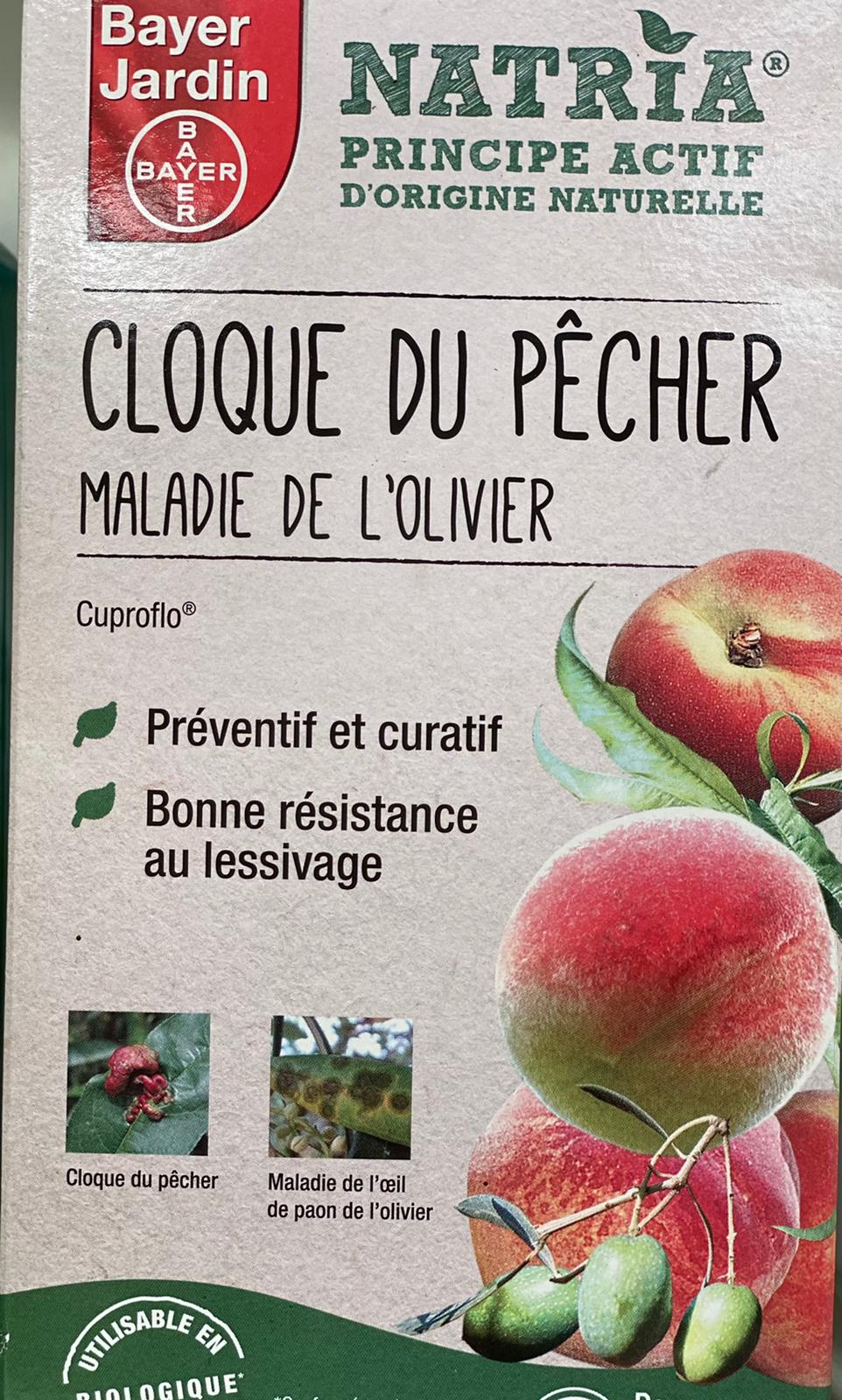 PEPINIERE DES ASPRES GRASSE 2024 ALPES MARITIMES JARDINERIE