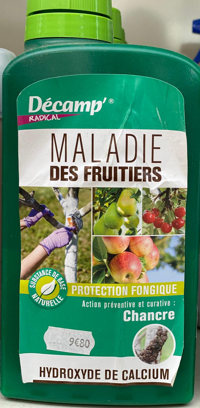 PEPINIERE DES ASPRES GRASSE 2024 ALPES MARITIMES JARDINERIE