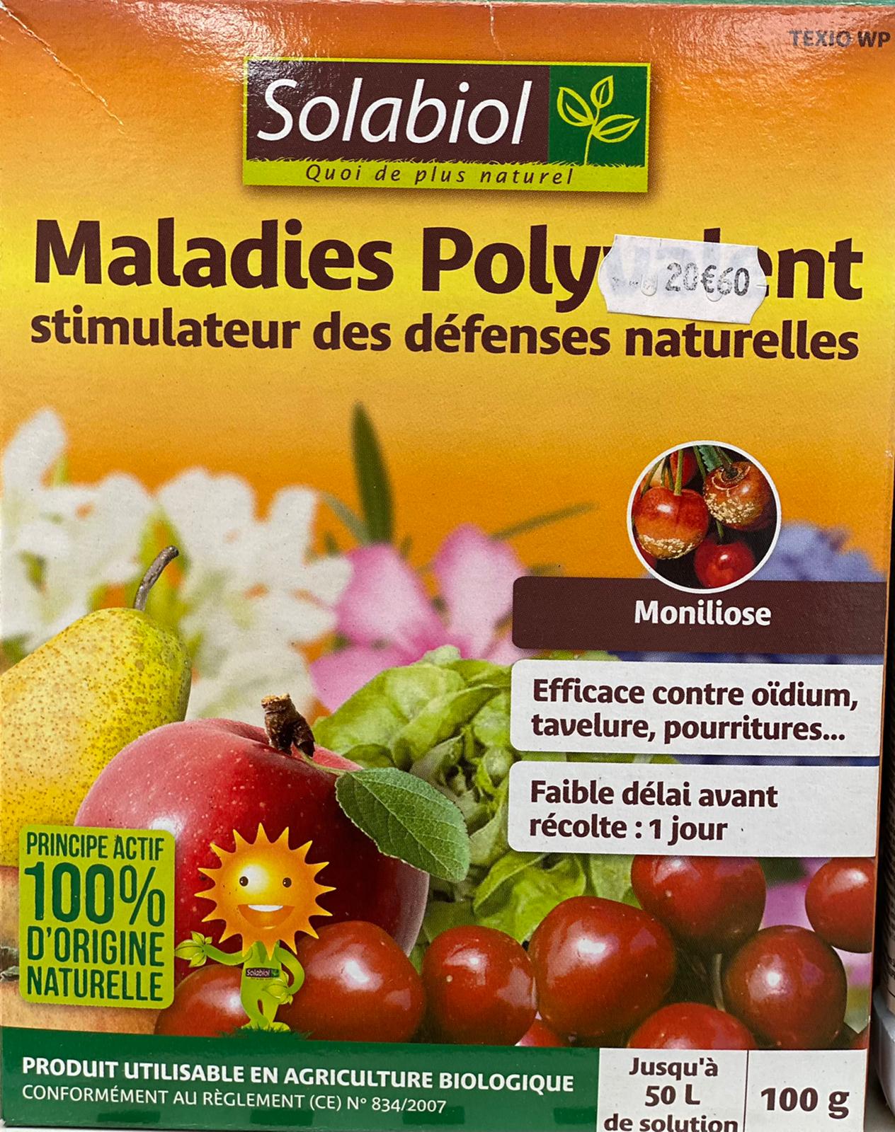 PEPINIERE DES ASPRES GRASSE 2024 ALPES MARITIMES JARDINERIE