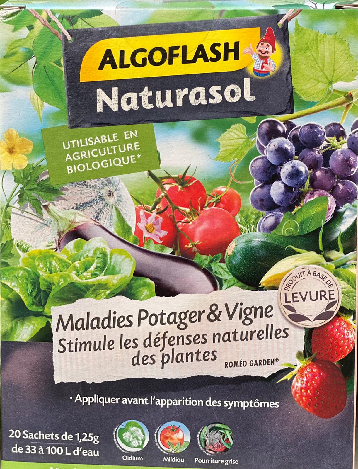 PEPINIERE DES ASPRES GRASSE 2024 ALPES MARITIMES JARDINERIE