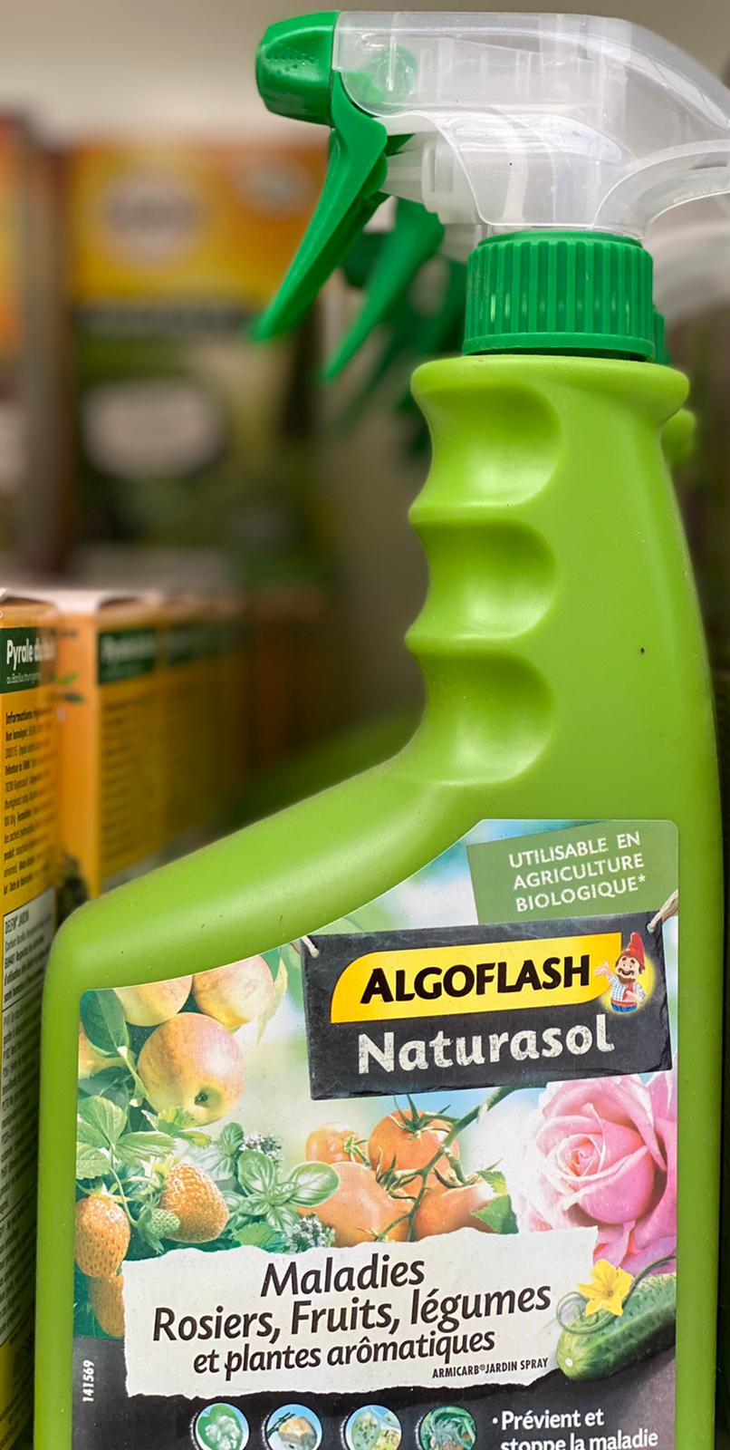 PEPINIERE DES ASPRES GRASSE 2024 ALPES MARITIMES JARDINERIE