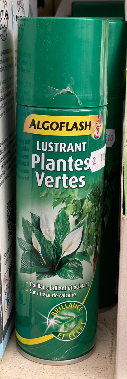 PEPINIERE DES ASPRES GRASSE 2024 ALPES MARITIMES JARDINERIE