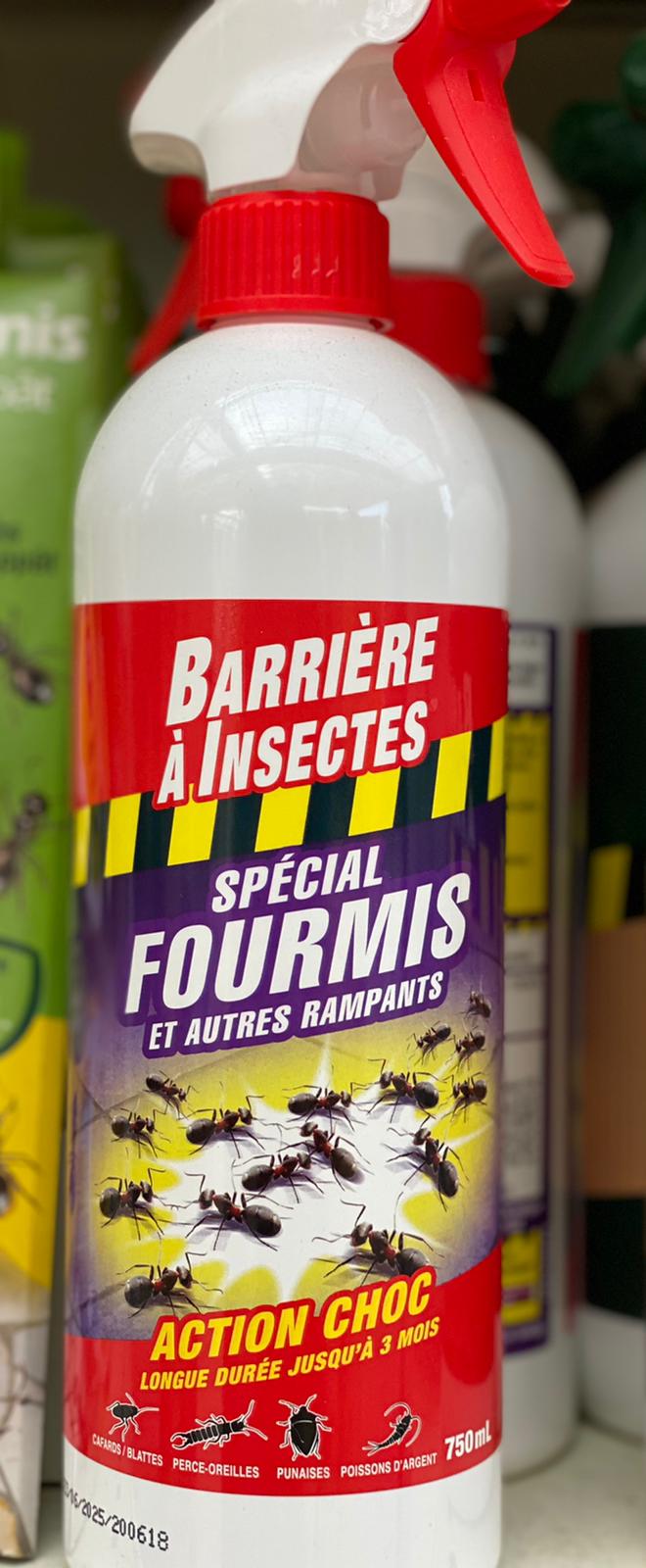 PEPINIERE DES ASPRES GRASSE 2024 ALPES MARITIMES JARDINERIE