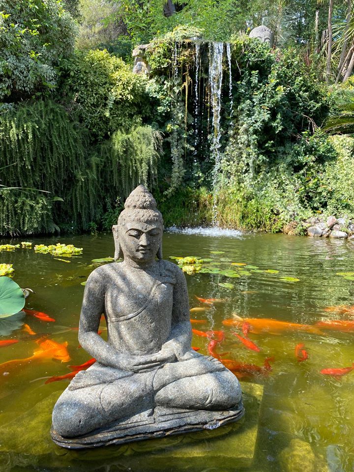 pepiniere jardinerie alpes maritimes 2025 2024 pepinière des aspres jardiner grasse