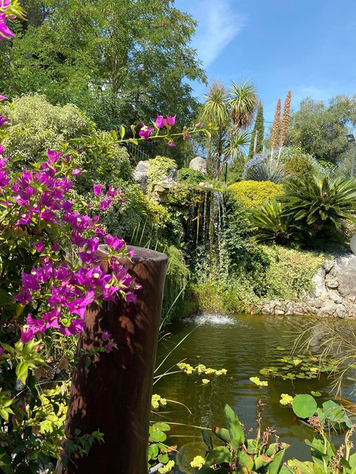 PEPINIERE DES ASPRES GRASSE 2024 ALPES MARITIMES JARDINERIE