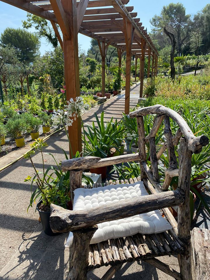 pepiniere jardinerie alpes maritimes 2025 2024 pepinière des aspres jardiner grasse
