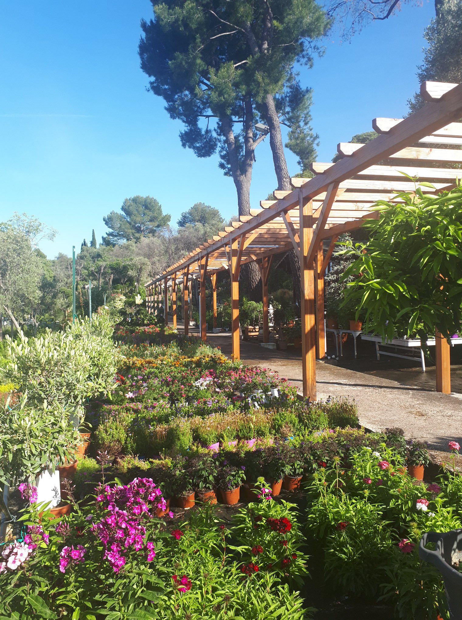 pepiniere jardinerie alpes maritimes 2025 2024 pepinière des aspres jardiner grasse