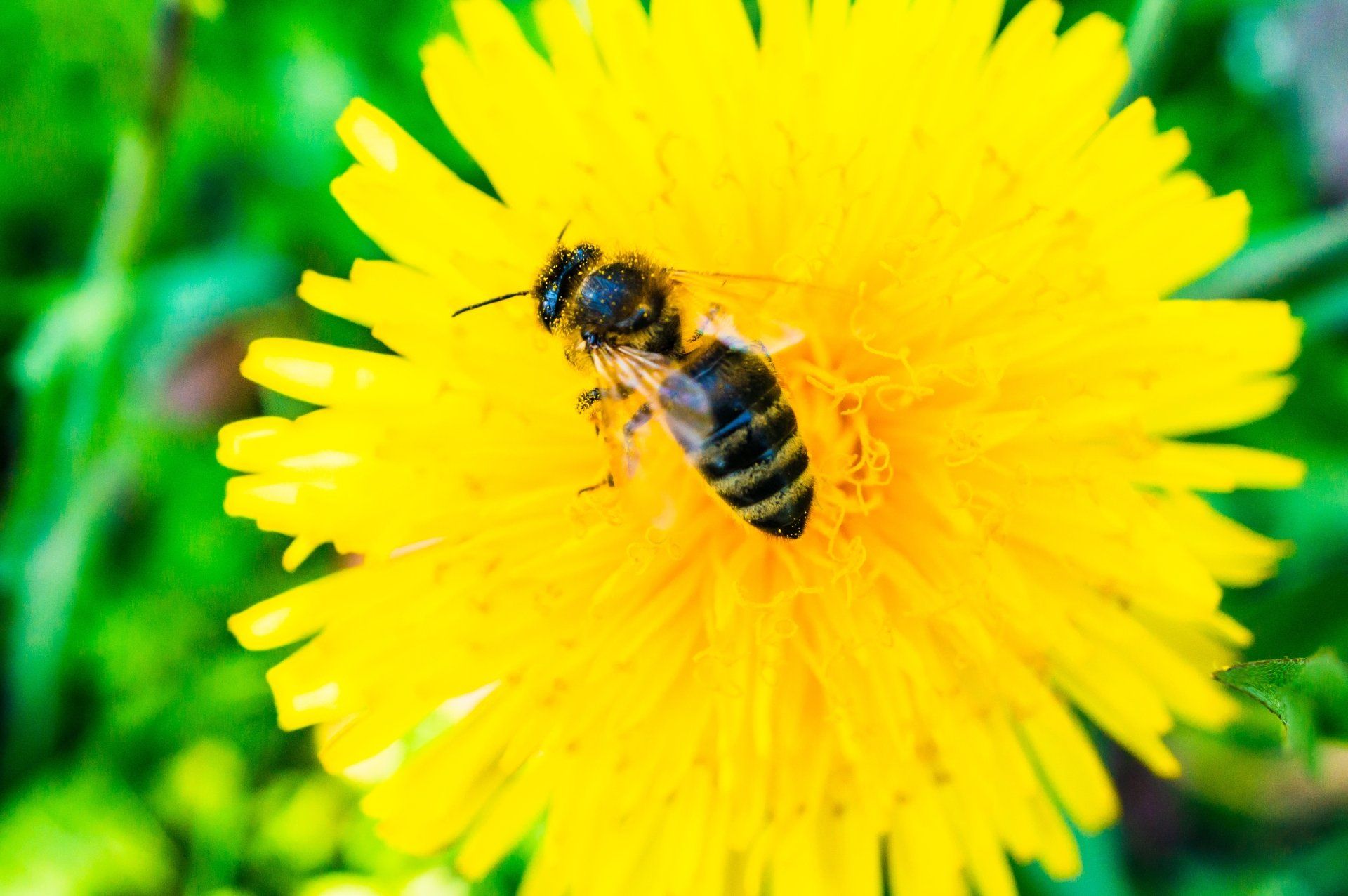 PEPINIERE DES ASPRES GRASSE 2024 ALPES MARITIMES JARDINERIE