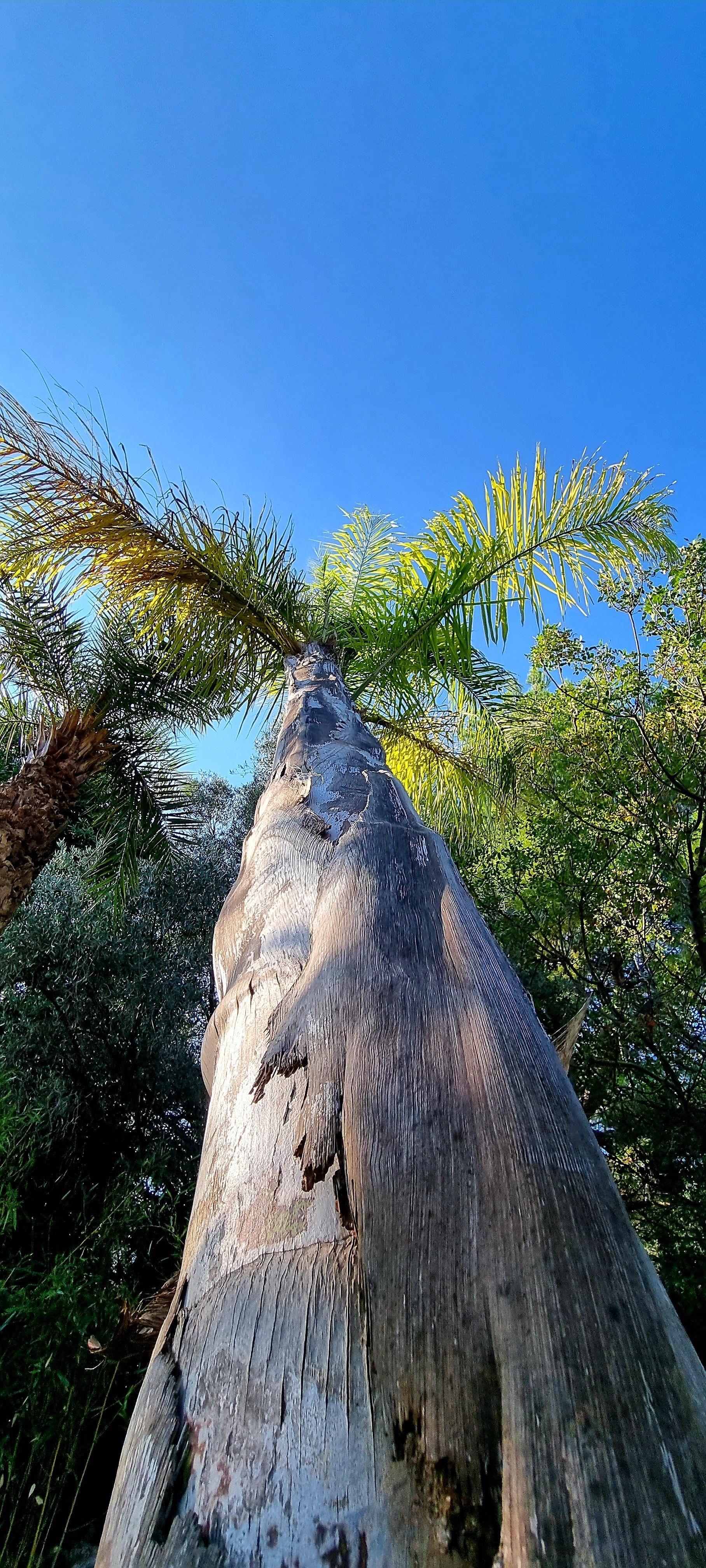 PEPINIERE DES ASPRES GRASSE 2024 ALPES MARITIMES JARDINERIE