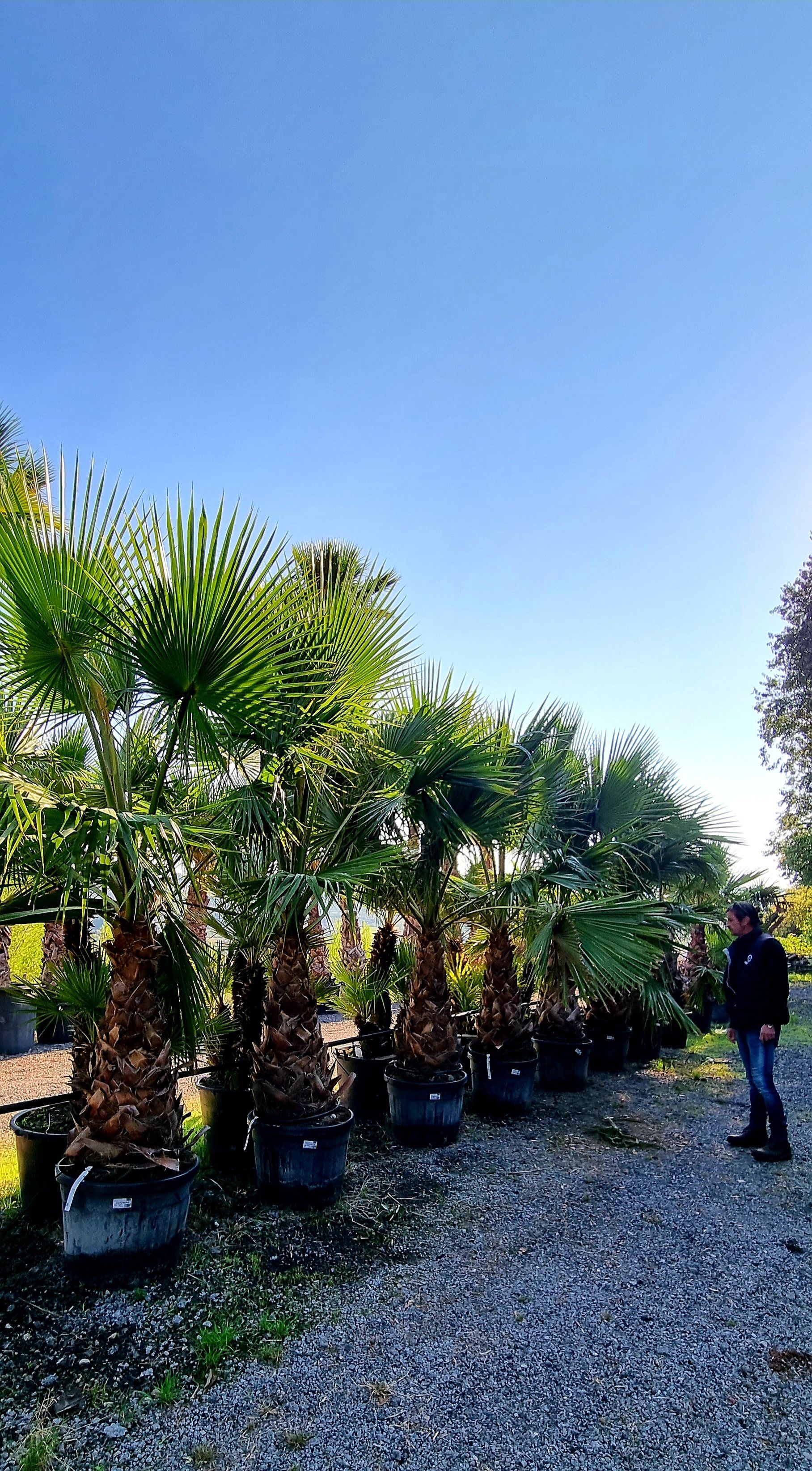 PEPINIERE DES ASPRES GRASSE 2024 ALPES MARITIMES JARDINERIE