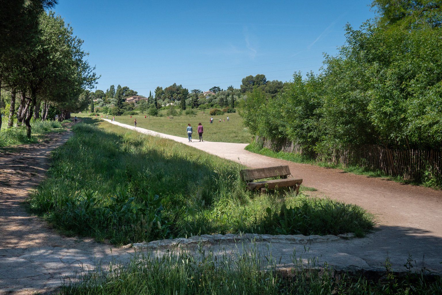 PEPINIERE DES ASPRES GRASSE 2024 ALPES MARITIMES JARDINERIE