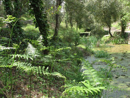 PEPINIERE DES ASPRES GRASSE 2024 ALPES MARITIMES JARDINERIE
