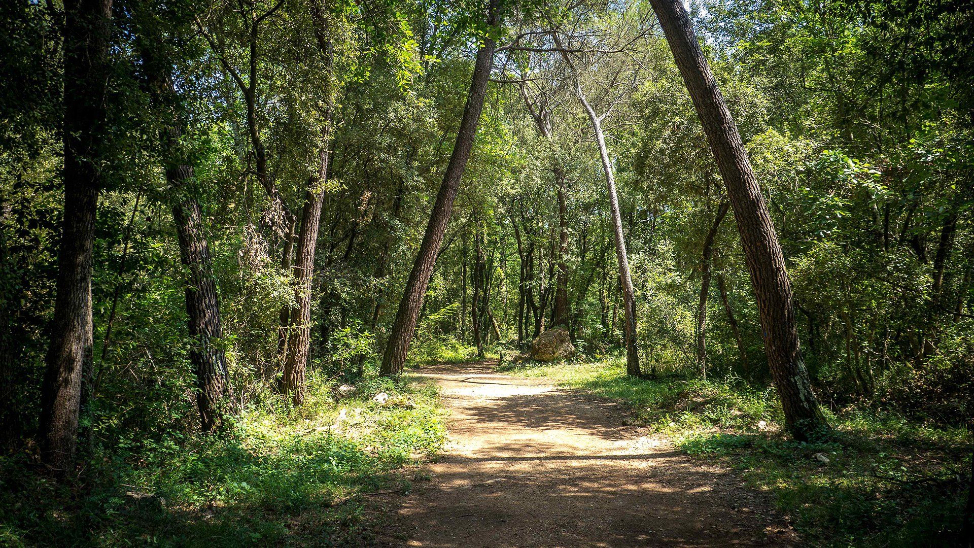 PEPINIERE DES ASPRES GRASSE 2024 ALPES MARITIMES JARDINERIE