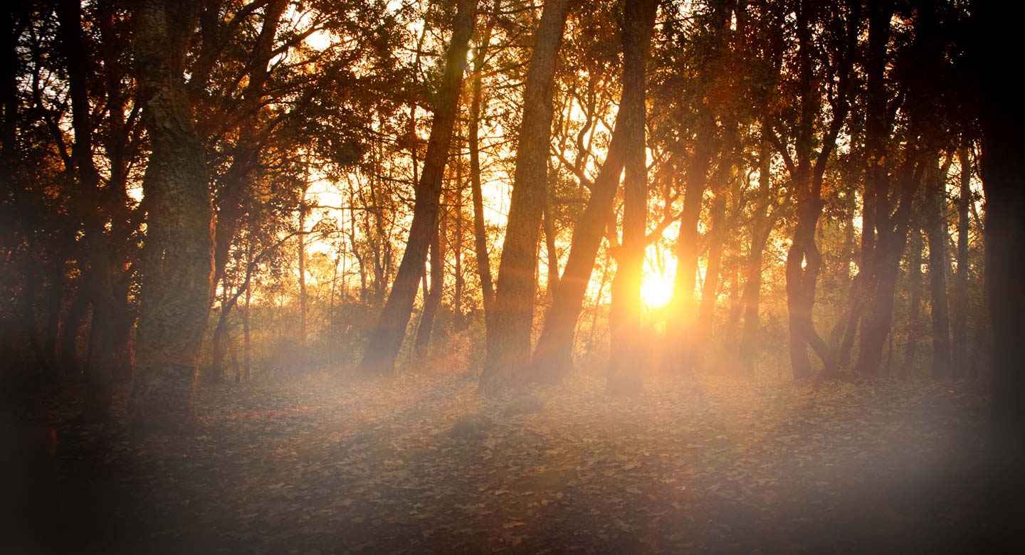 PEPINIERE DES ASPRES GRASSE 2024 ALPES MARITIMES JARDINERIE