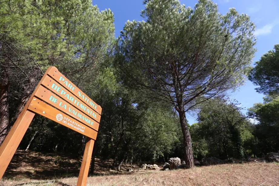 PEPINIERE DES ASPRES GRASSE 2024 ALPES MARITIMES JARDINERIE