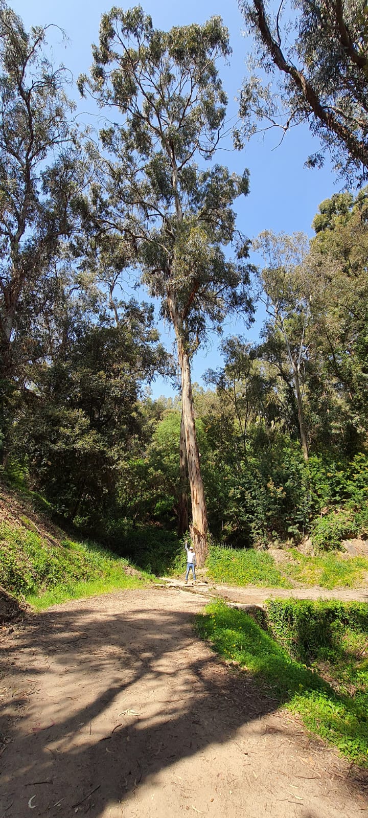 PEPINIERE DES ASPRES GRASSE 2024 ALPES MARITIMES JARDINERIE