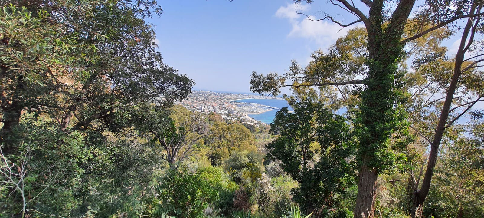 PEPINIERE DES ASPRES GRASSE 2024 ALPES MARITIMES JARDINERIE